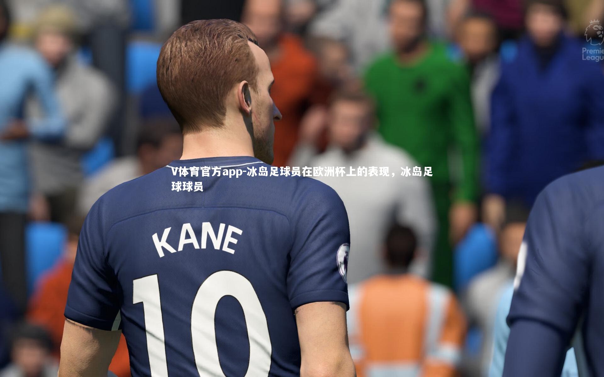 V体育官方app-冰岛足球员在欧洲杯上的表现，冰岛足球球员-第2张图片-V体育官方app