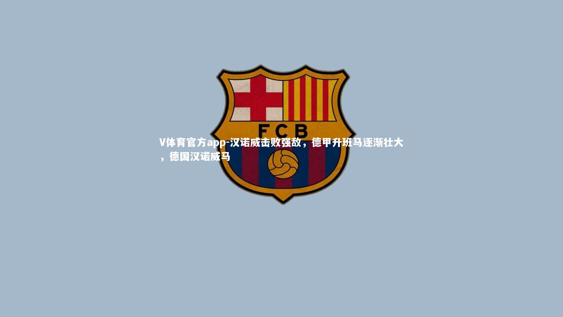 V体育官方app-汉诺威击败强敌，德甲升班马逐渐壮大，德国汉诺威马-第1张图片-V体育官方app